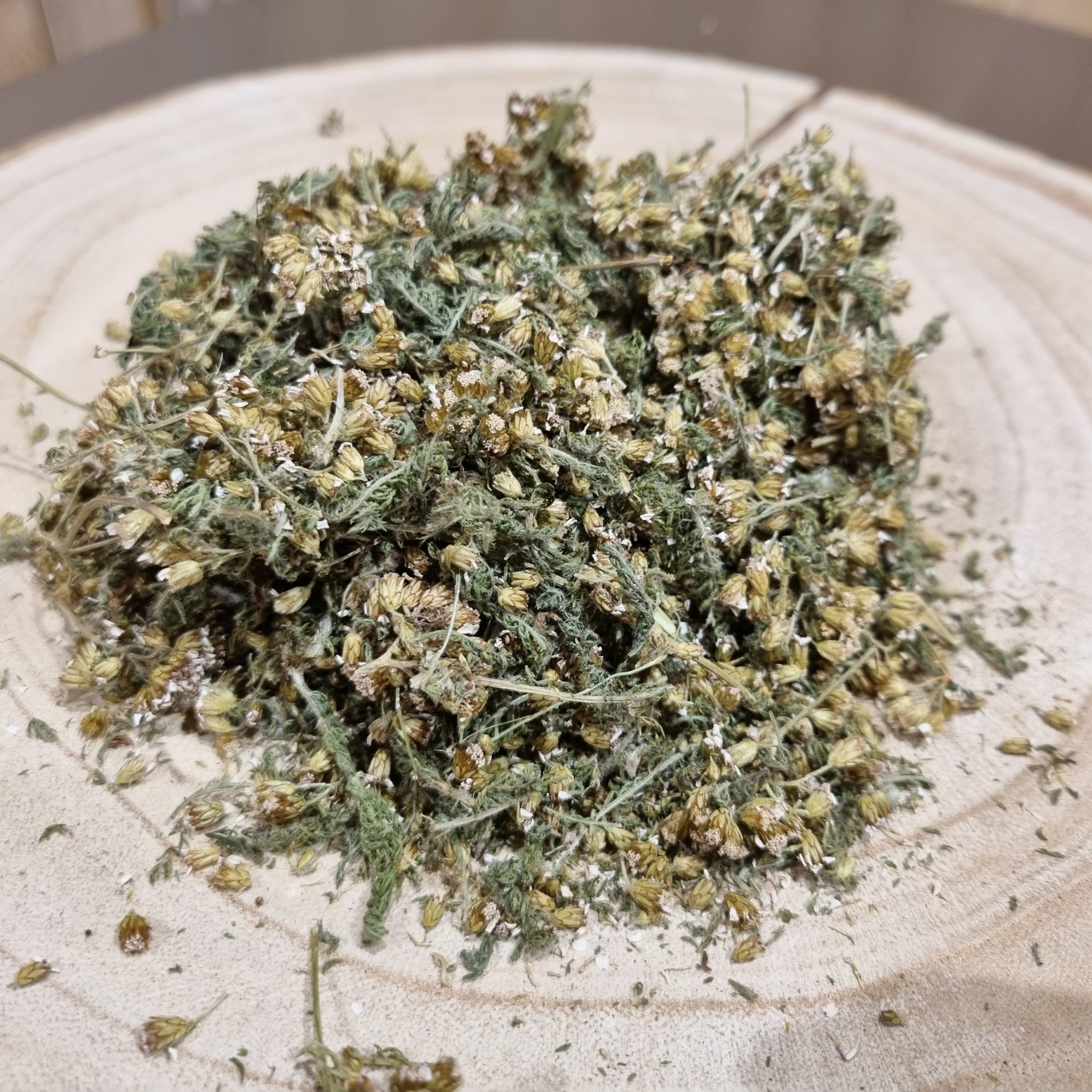 Achillée millefeuille, Achillea millefolium