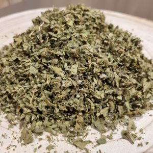 Alchémille - Alchemilla vulgaris