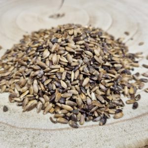 Graines de chardon-Marie – Silybum marianum