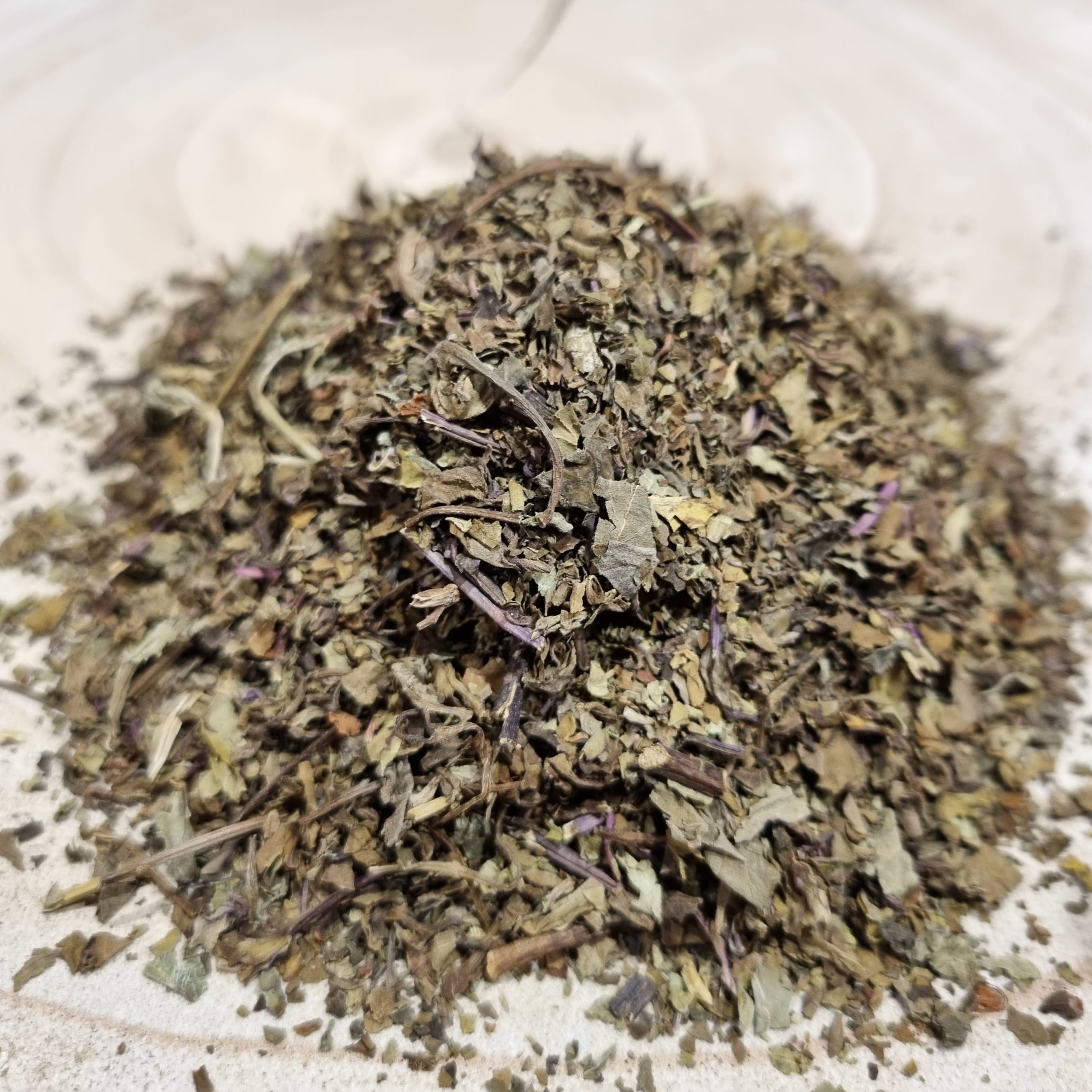 Feuilles d’orthosiphon bio – Orthosiphon stamineus