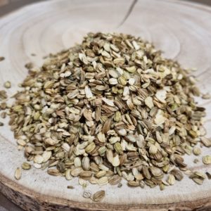 Graines d’angélique – Angelica archangelica