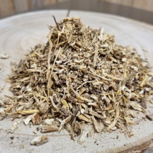 Racine d’angélique – Angelica archangelica