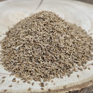 Anis vert – Graines de Pimpinella anisum