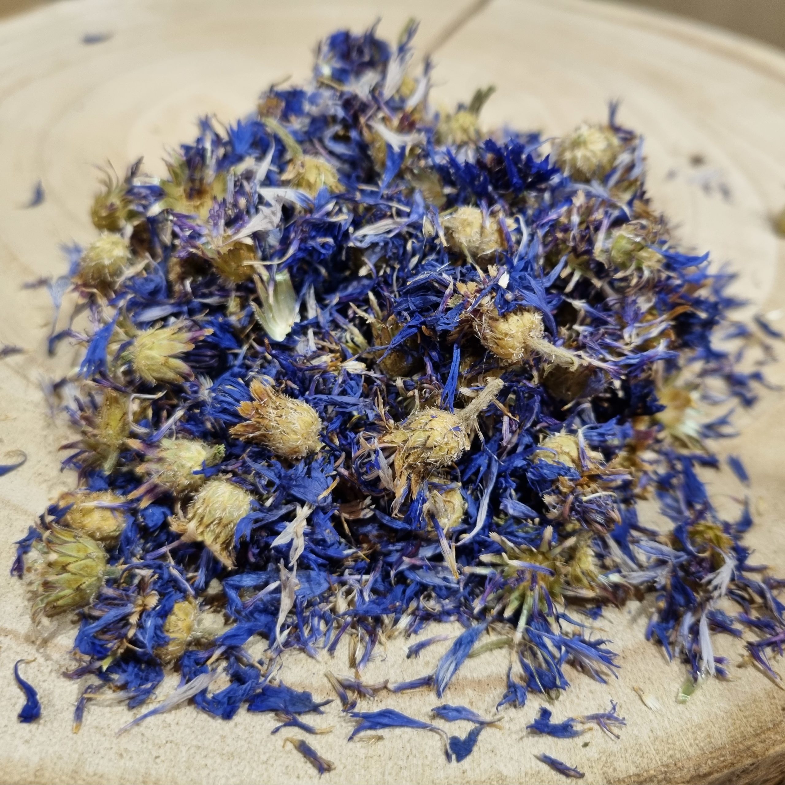 Bleuet - Centaurea cyanus - Fleurs - Local