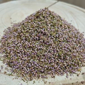 Bruyère - Calluna vulgaris - Fleurs