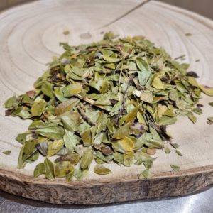 Busserole - Arctostaphylos uva-ursi - Feuilles coupées