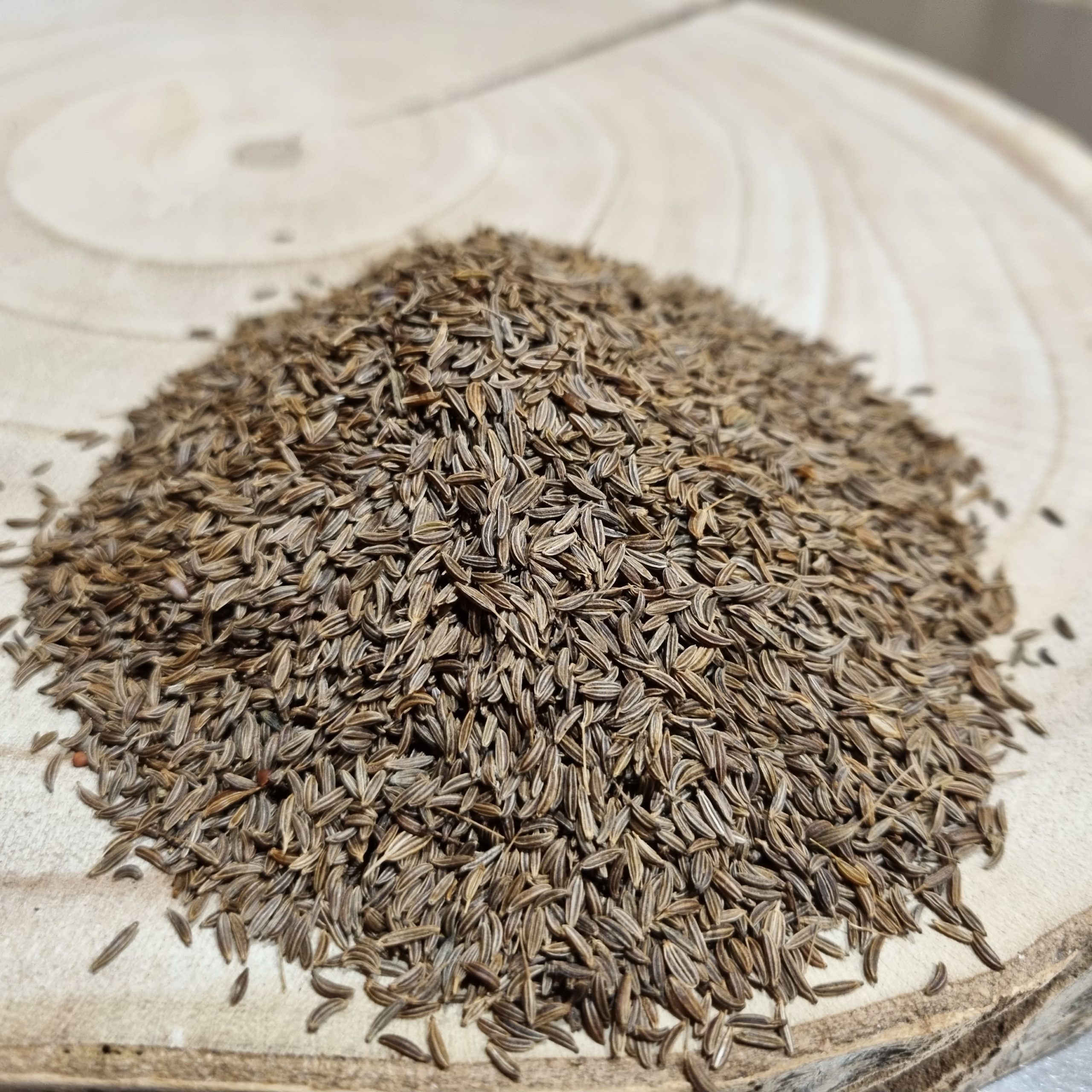 Graines de carvi – Carum carvi