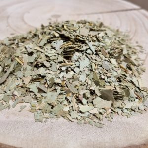 Feuilles d’eucalyptus bio – Eucalyptus globulus