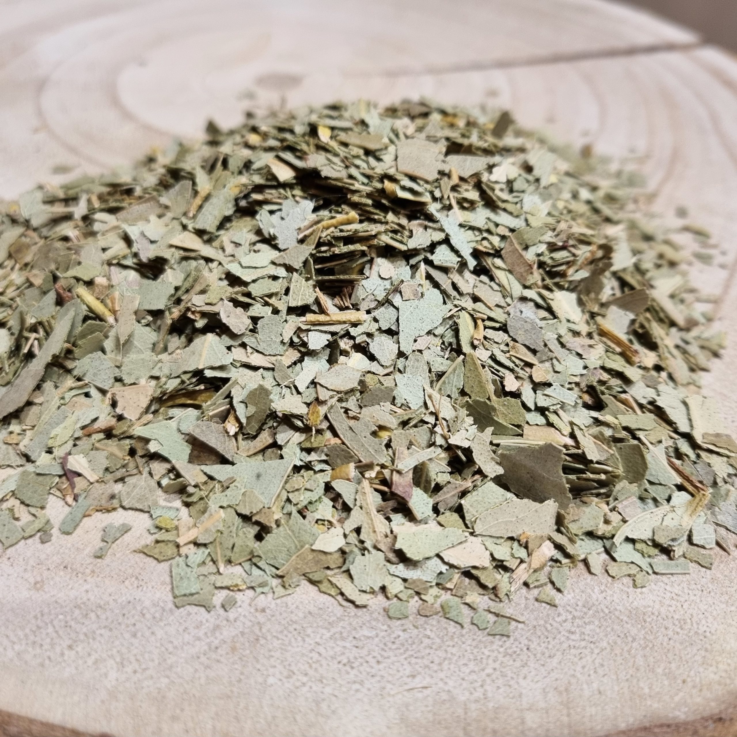 Feuilles d’eucalyptus bio – Eucalyptus globulus