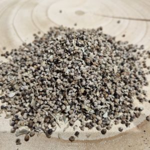 Sommités fleuries de gattilier – Vitex agnus-castus