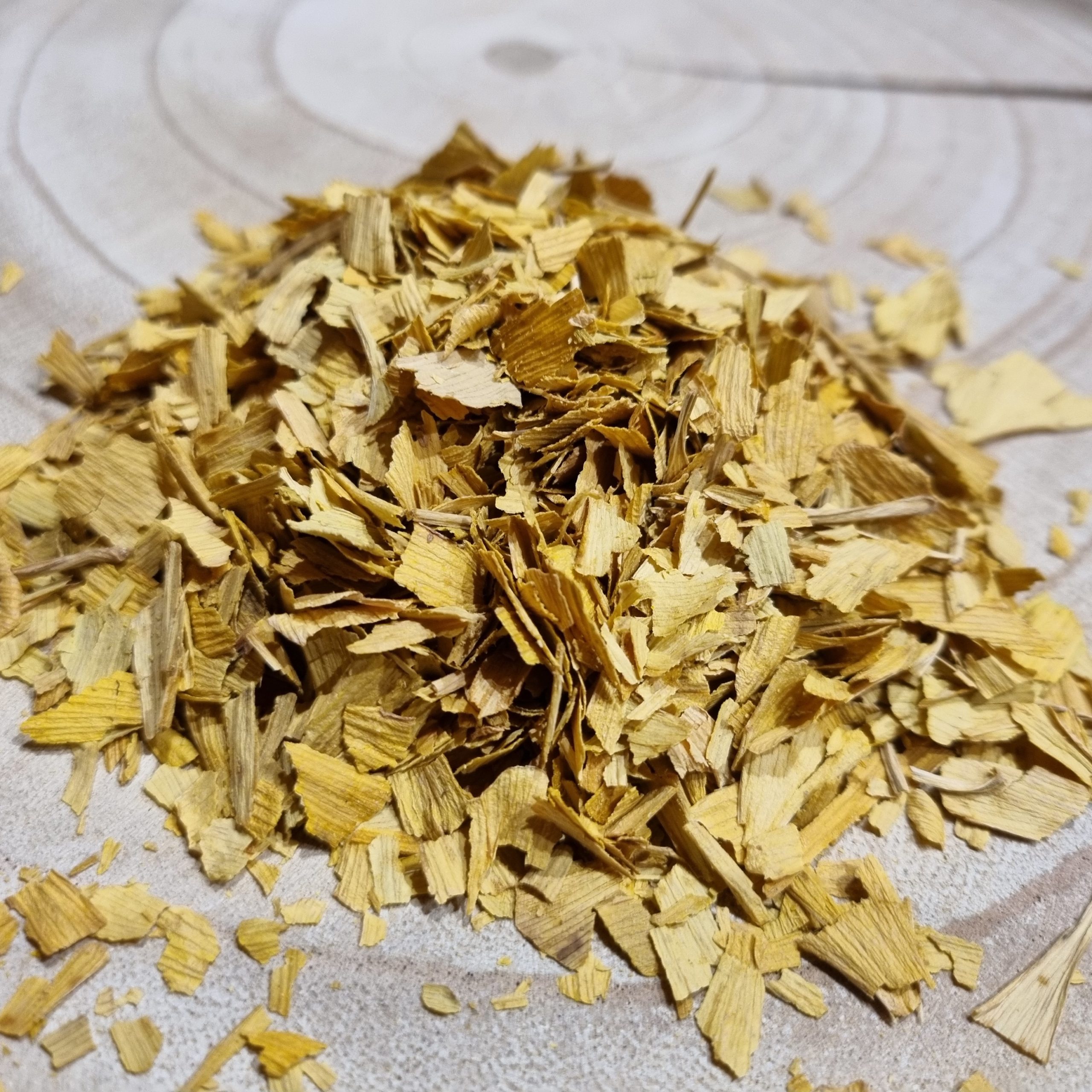 Feuilles de ginkgo cultivées en France – Ginkgo biloba