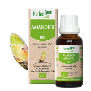 Amandier - Prunus dulcis - 30ml - Bio