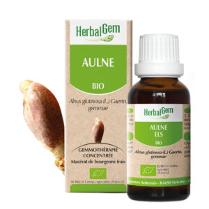 Aulne - Alnus glutinosa - 30ml - Bio