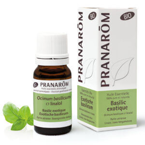 Basilic Exotique - Ocimum basilicum - 10ml - Bio