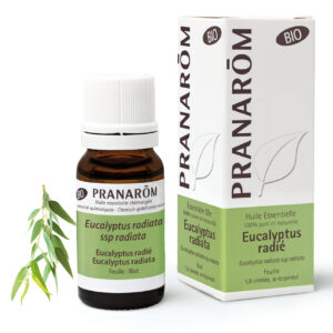 Eucalyptus Radié - Eucalyptus radiata - 10ml - Bio