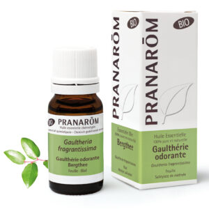 Gaultherie Odorante - Gaultheria fragrantissima - 10ml - Bio