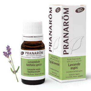 Lavande Aspic - Lavandula latifolia - 10ml