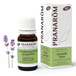 Lavande Vrai - Lavandula angustifolia - 10ml - Bio