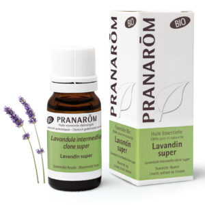 Lavandin Super - Lavandula intermedia - 10ml - Bio