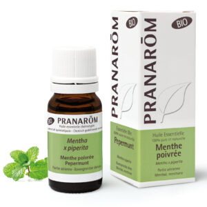 Menthe Poivrée - Mentha x piperita - 10ml - Bio