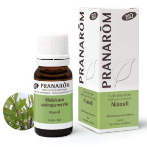Niaouli - Melaleuca quinquenervia - 10ml - Bio