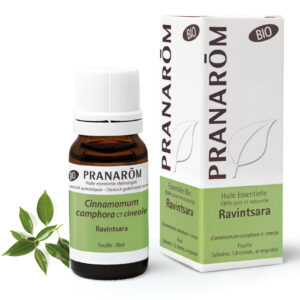 Ravintsara - Cinnamomum camphora - 10ml - Bio