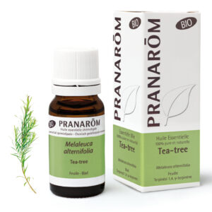 Tea-Tree - Melaleuca alternifolia - 10ml