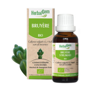 Bruyere - Calluna vulgaris - 30ml - Bio