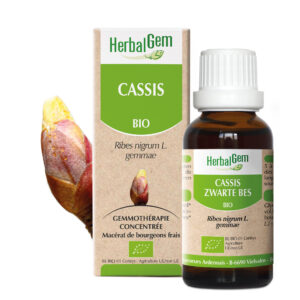 Cassis - Ribes nigrum - 30ml - Bio