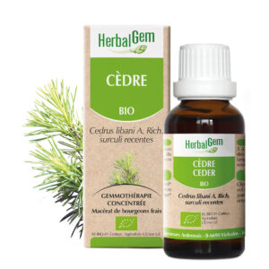 Cedre du liban - Cedrus libani - 30ml - Bio