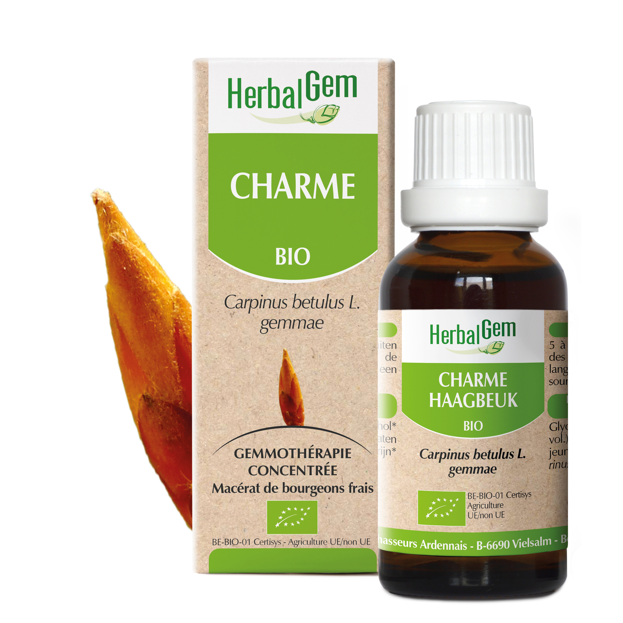 Charme - Carpinus betulus - 30ml - Bio