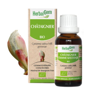 Chataignier - Castanea sativa - 30ml - Bio