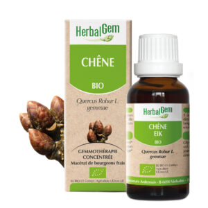 Chêne - Quercus robur - 30ml - Bio