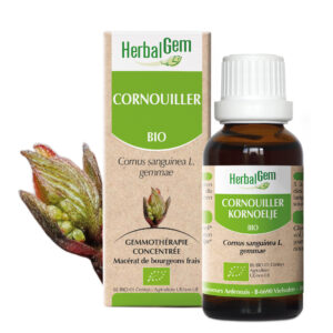 Cornouiller - Cornus sanguinea - 30ml - Bio