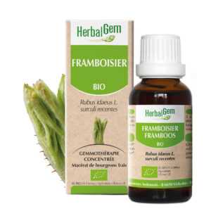 Framboisier - Rubus idaeus - 30ml - Bio