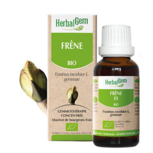 Frêne - Fraxinus excelsior - 30ml - Bio
