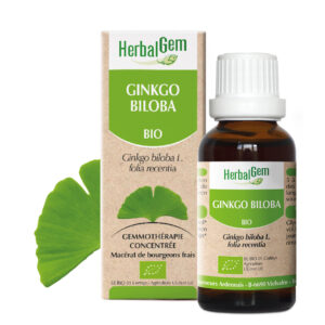 Ginkgo Biloba - Ginkgo biloba - 30ml - Bio
