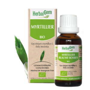 Myrtillier - Vaccinium myrtillus - 30ml - Bio