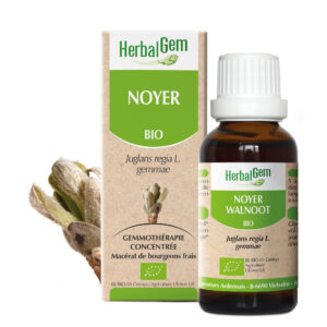 Noyer - Juglans regia - 30ml - Bio