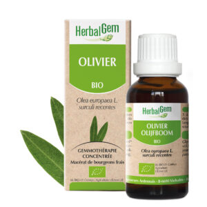 Olivier - Olea europaea - 30ml - Bio