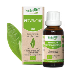 Pervenche - Vinca minor - 30ml - Bio