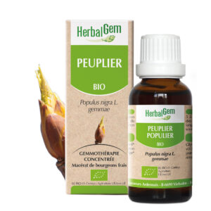 Peuplier - Populus nigra - 30ml - Bio