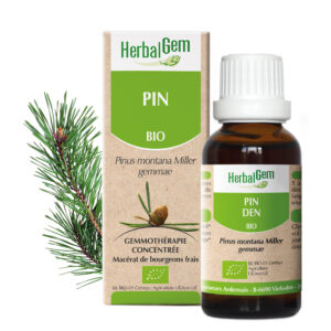 Pin - Pinus montana - 30ml - Bio