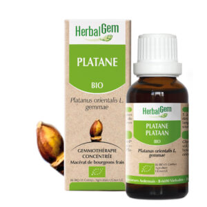 Platane - Platanus orientalis - 30ml - Bio