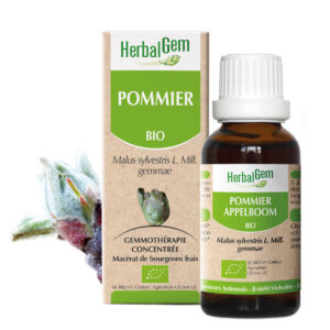 Pommier - Malus sylvestris - 30ml - Bio