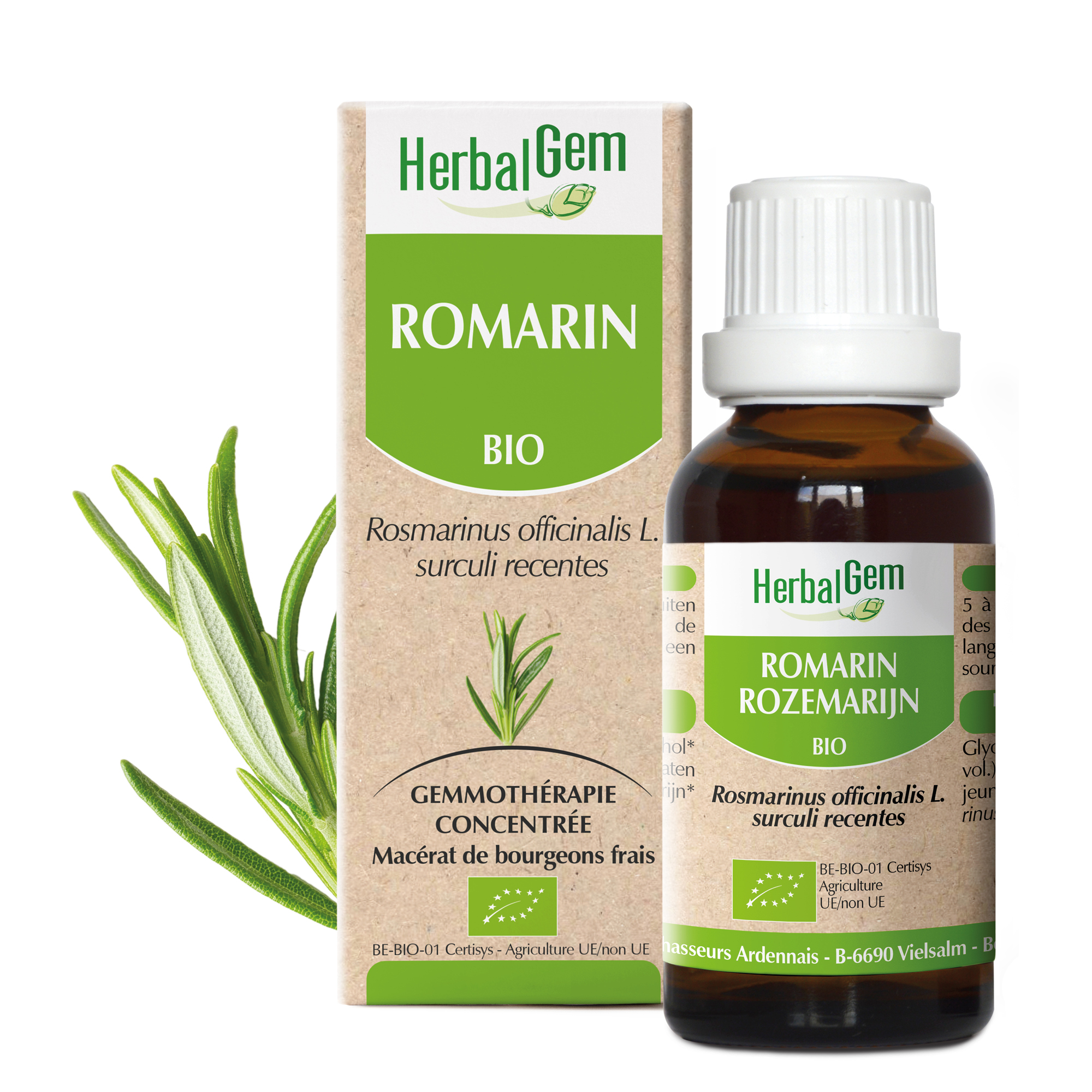 Romarin - Rosmarinusofficinalis - 30ml - Bio