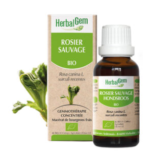 Rosier Sauvage - Rosa Canina - 30ml - Bio