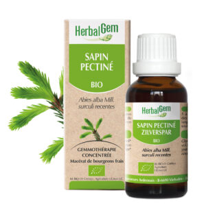 Sapin Pectiné - Abies alba - 30ml - Bio