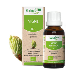 Vigne - Vitis vinifera - 30ml - Bio