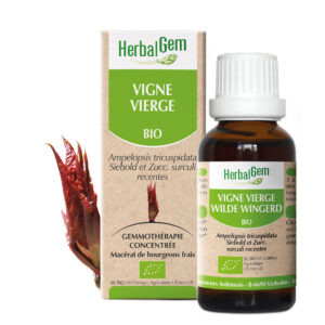 Vigne Vierge - Ampelopsis tricuspidata - 30ml - Bio